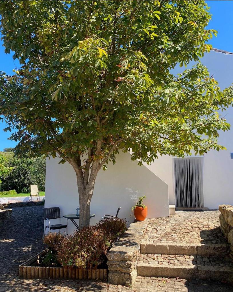Quinta D'Abegoa Villa Marvão Dış mekan fotoğraf