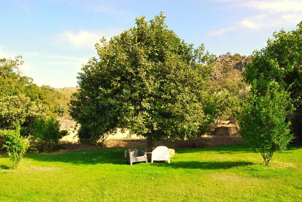 Quinta D'Abegoa Villa Marvão Dış mekan fotoğraf